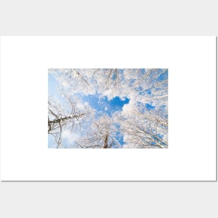 Snow falling from trees Posters and Art